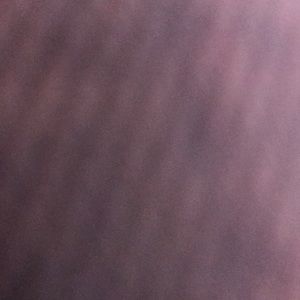 Meet your Posher, Paula